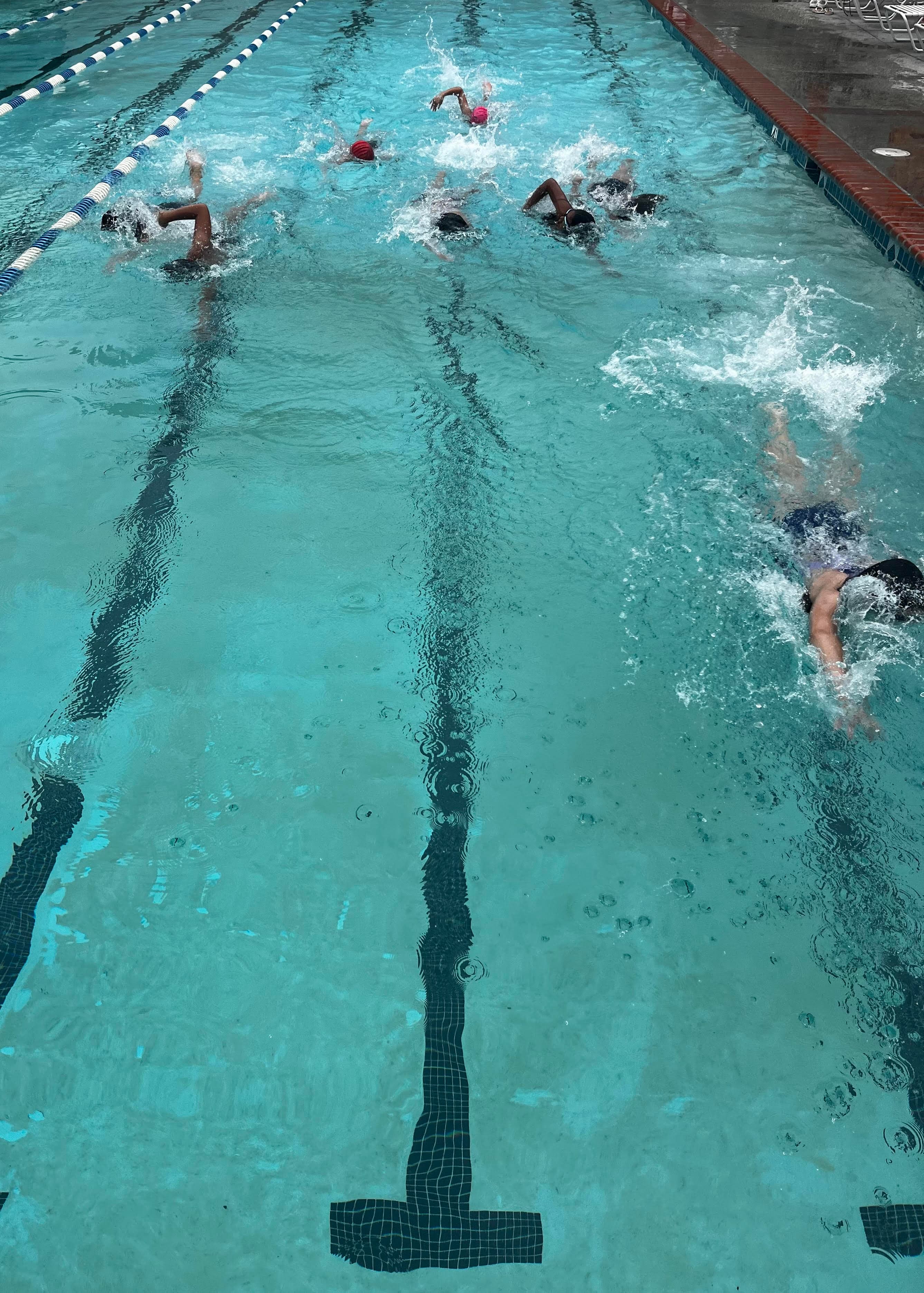 Junior Lifeguard swimmers training freestyle laps in a Torrance pool